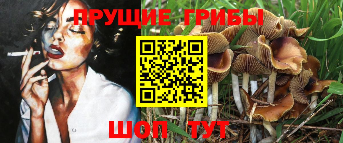 Псилоцибиновые грибы MAGIC MUSHROOMS Вятские Поляны