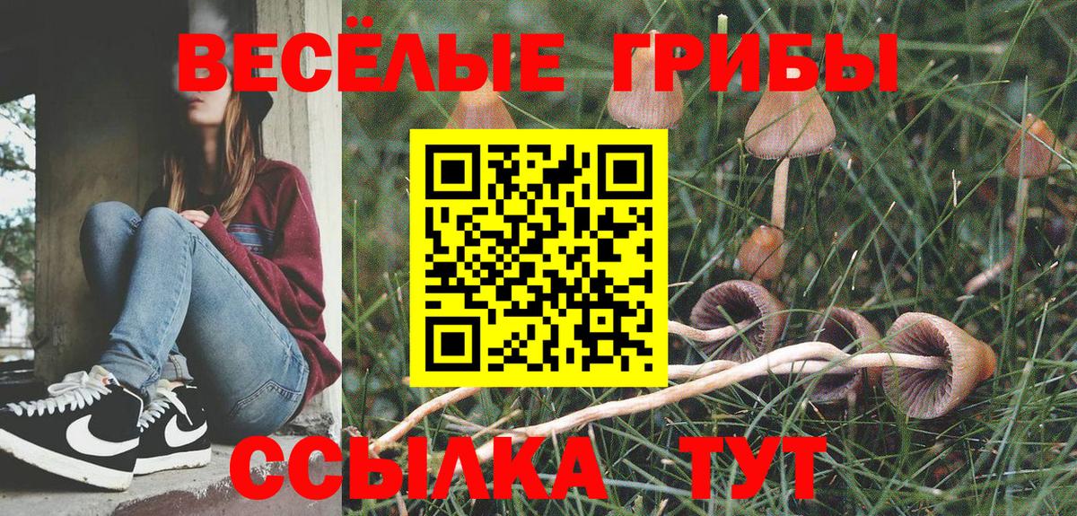 Галлюциногенные грибы Psilocybine cubensis  цены наркотик  Псилоцибиновые грибы Magic Shrooms  Вятские Поляны  Вход с VPN 
